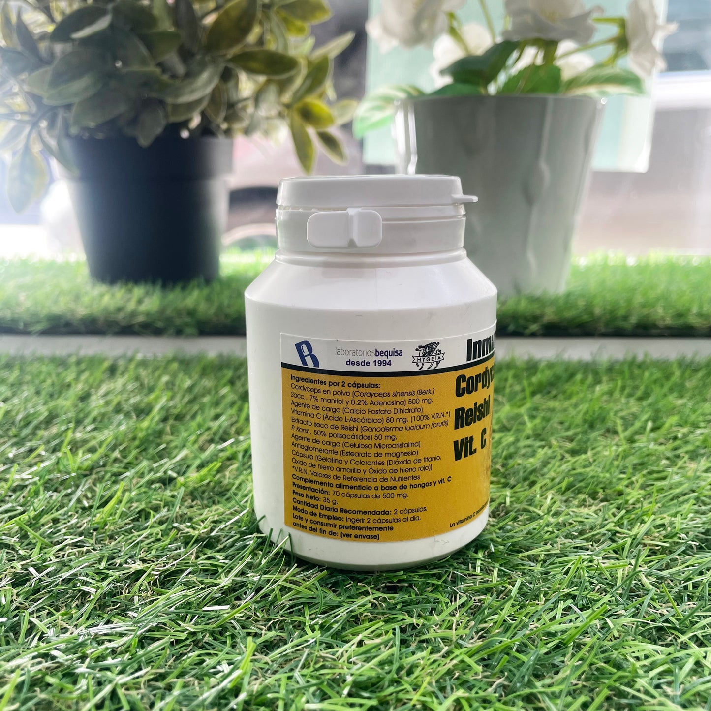 Inmunocepshi Cápsulas de Cordyceps y Reishi 30 unidades